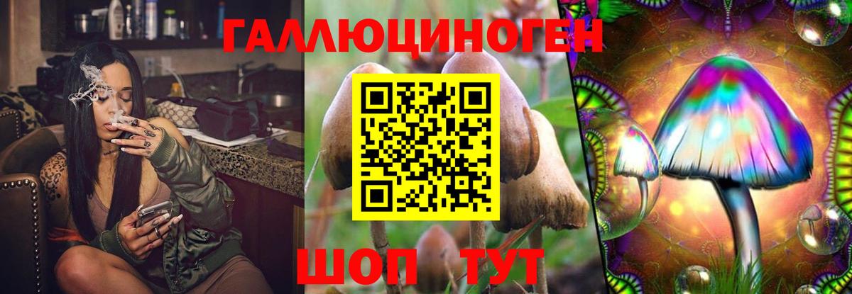 Галлюциногенные грибы Cubensis Карталы