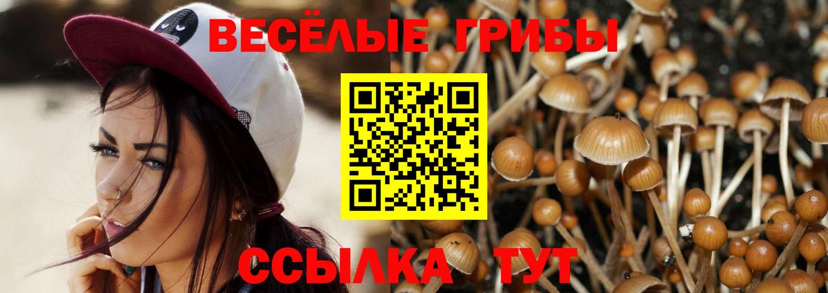 Карталы  Псилоцибиновые грибы ЛСД  Вход с VPN 